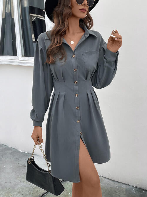 Pocketed Buttoned Collared Neck Dress